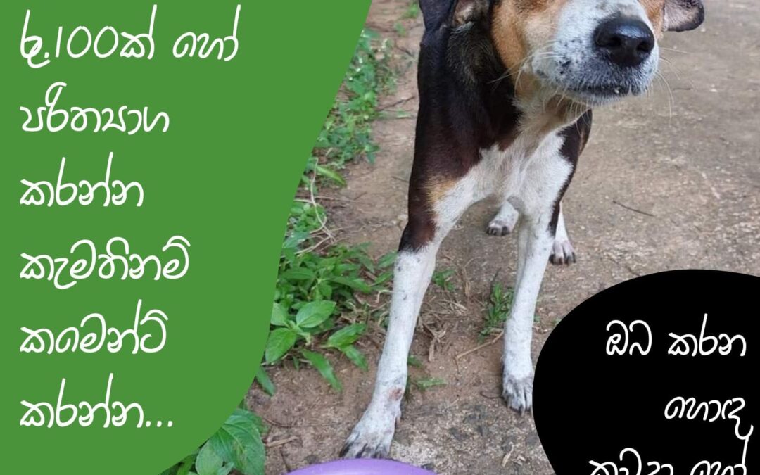 මේ බව්වන්ට කන්න දෙන්න අවම රු.100ක් හෝ පරිත්‍යාග කරන්න පුළුවන්ද?
