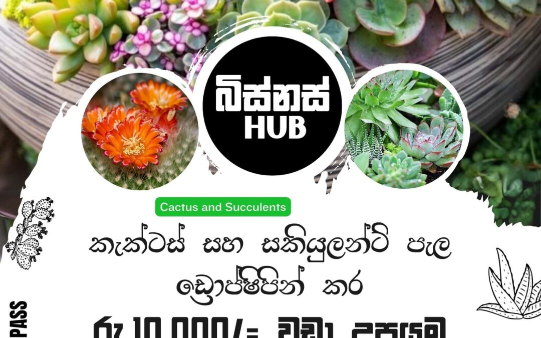 ඩ්‍රොප්ෂිපින් / රීසෙලින් (DropShipping / Reselling) ව්‍යාපාරයක් ආරම්භ කර ආදායම් උපයමු !