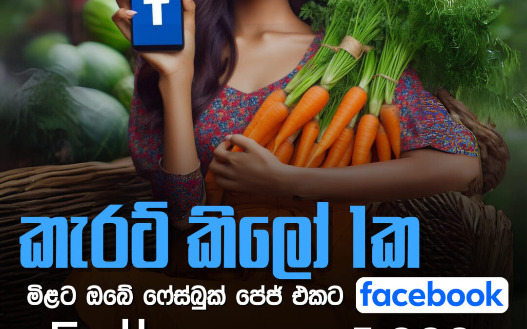 කැරට් කිලෝ එකක මිළට ඔබේ ෆේස්බුක් පේජ් එකට Followers 5000 (ජනවාරි 17-18-19 පමණයි)