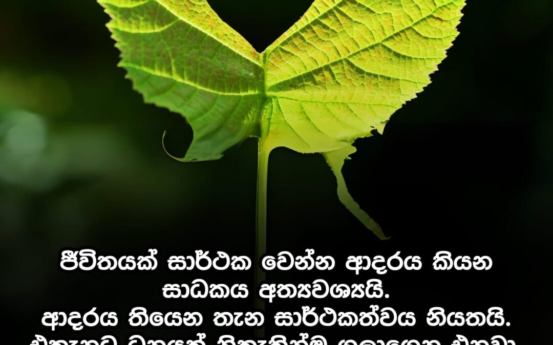 ආදරය තියෙන තැන සාර්ථකත්වය නියතයි
