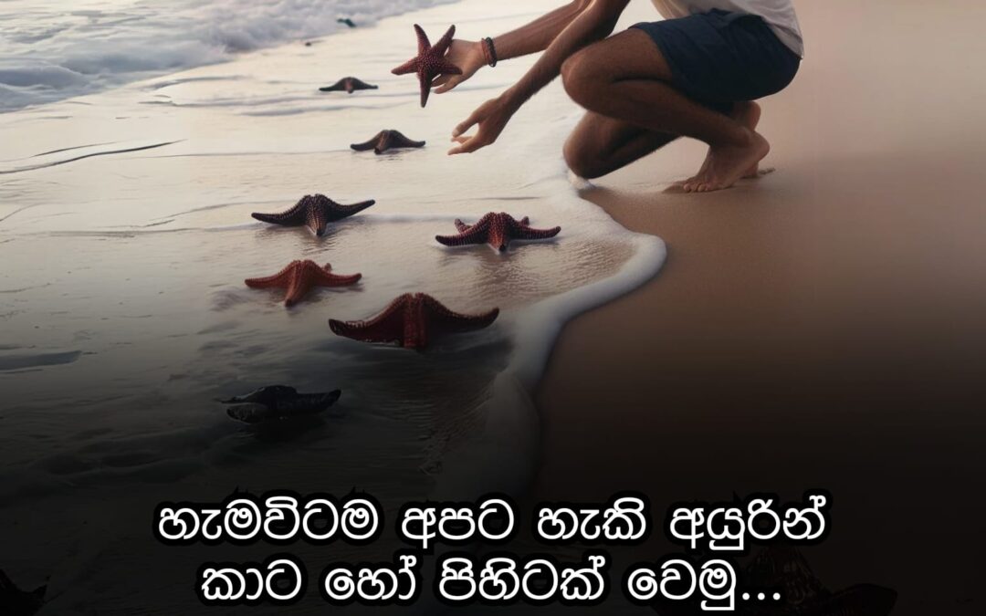 හැම විටකම අපිට හැකි අයුරින් අන් අයට උදව් කරමු