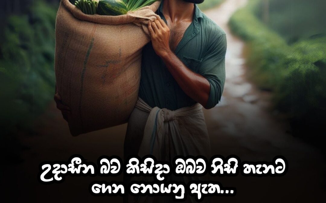 උදාසීන බව කිසි දා ඔබව නිසි තැනට ගෙන නොයනු ඇති