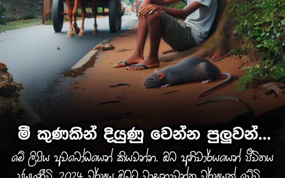 මී කුණකින් දියුණු වෙන්න පුළුවන්