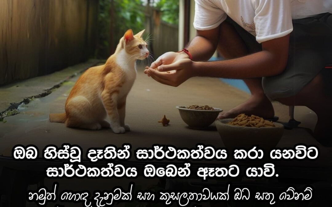 ඔයා මොනා හරි දෙයක් පටන් ගන්න යනවා නම්, ඉස්සෙල්ලාම ඒ ගැන ටිකක් අධ්‍යනය කරන්න