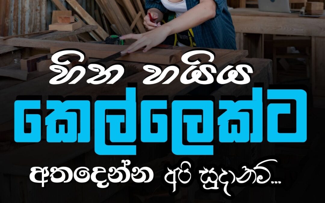 හිත හයිය “කෙල්ලෙක්ට” අත දෙන්න අපි සූදානම් | Business HUB අතහිත 01 (Online Thrift Store)