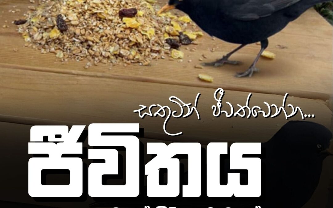 සතුටින් ජීවත් වෙන්න