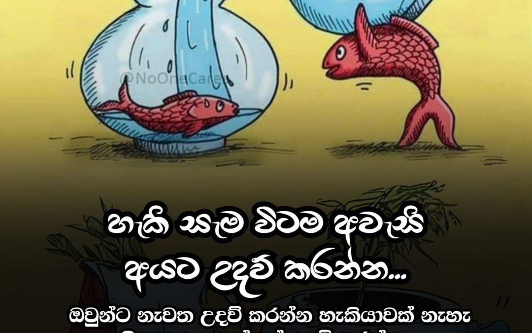 පුළුවන් තරම් අන් අයට උපකාර කරන්න