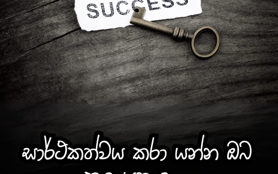 අපි හැමෝටම ජීවිතේ සාර්ථක වෙන්න තදබල වුවමනාවක් තියෙනවා කිව්වොත් ඒක බොරු නෙවෙයිනේ