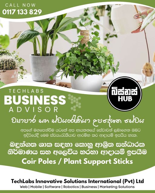බඳුන්ගත ශාක සඳහා කොහු ආශ්‍රිත සන්ධාරක නිර්මාණය සහ අලෙවිය හරහා ආදායම් ඉපයීම | Coir Poles / Plant Support Sticks