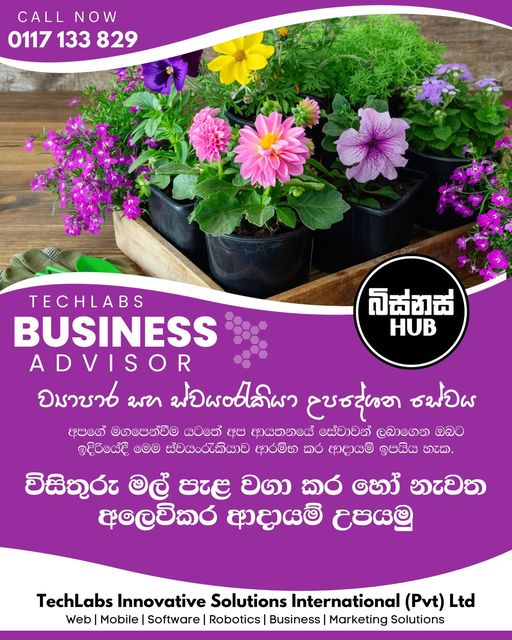 විසිතුරු මල් පැළ වගාකර හෝ නැවත අලෙවිය හරහා ආදායම් උපයමු