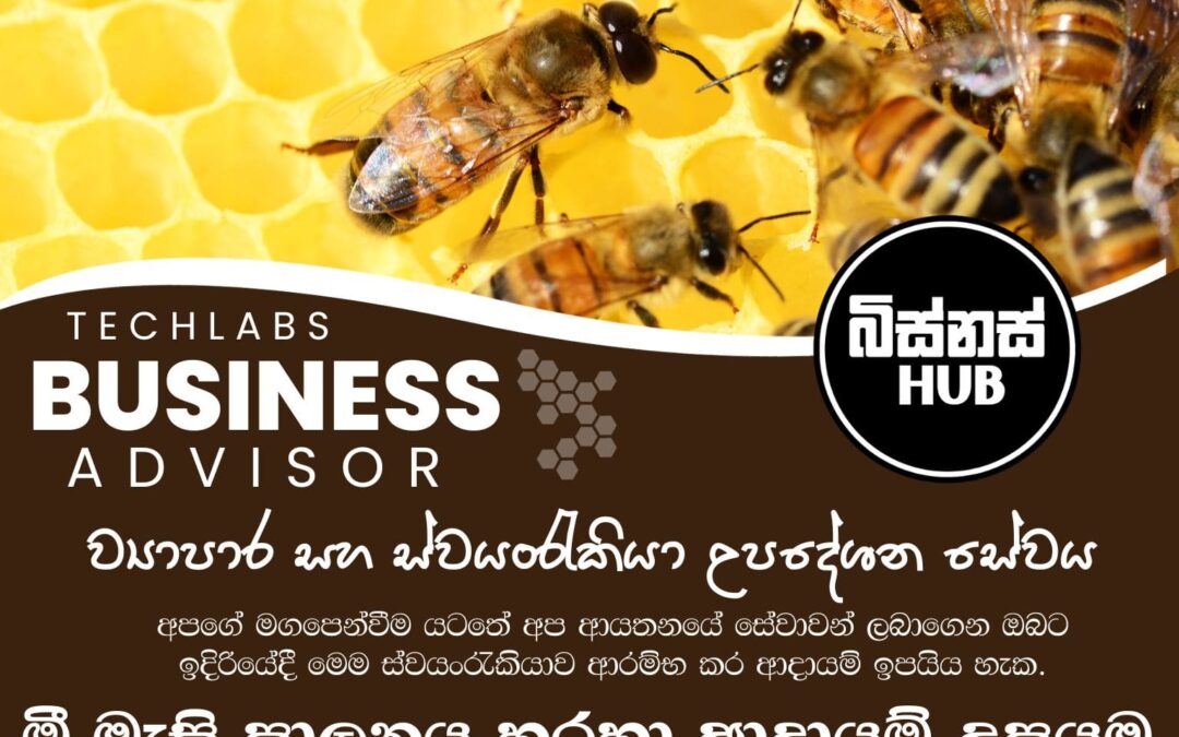මී මැසි පාලනය (පෙට්ටි, ජනපද හා මී පැණි) හරහා ආදායම් උපයමු
