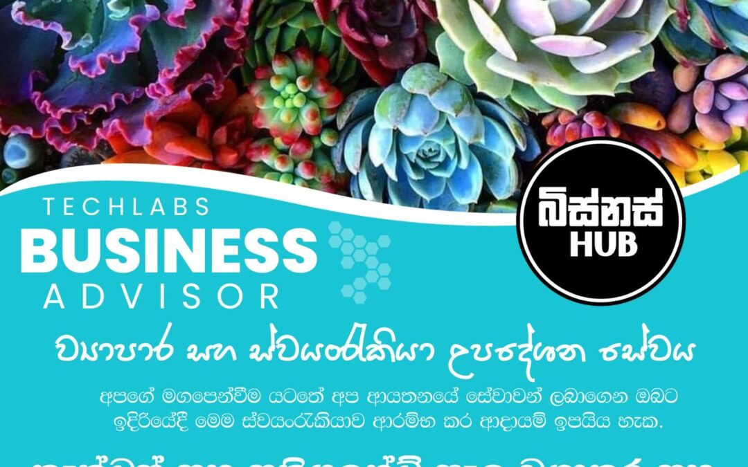 කැක්ටස් සහ සකියුලන්ට් පැල වගාකර ආදායම් උපයමු