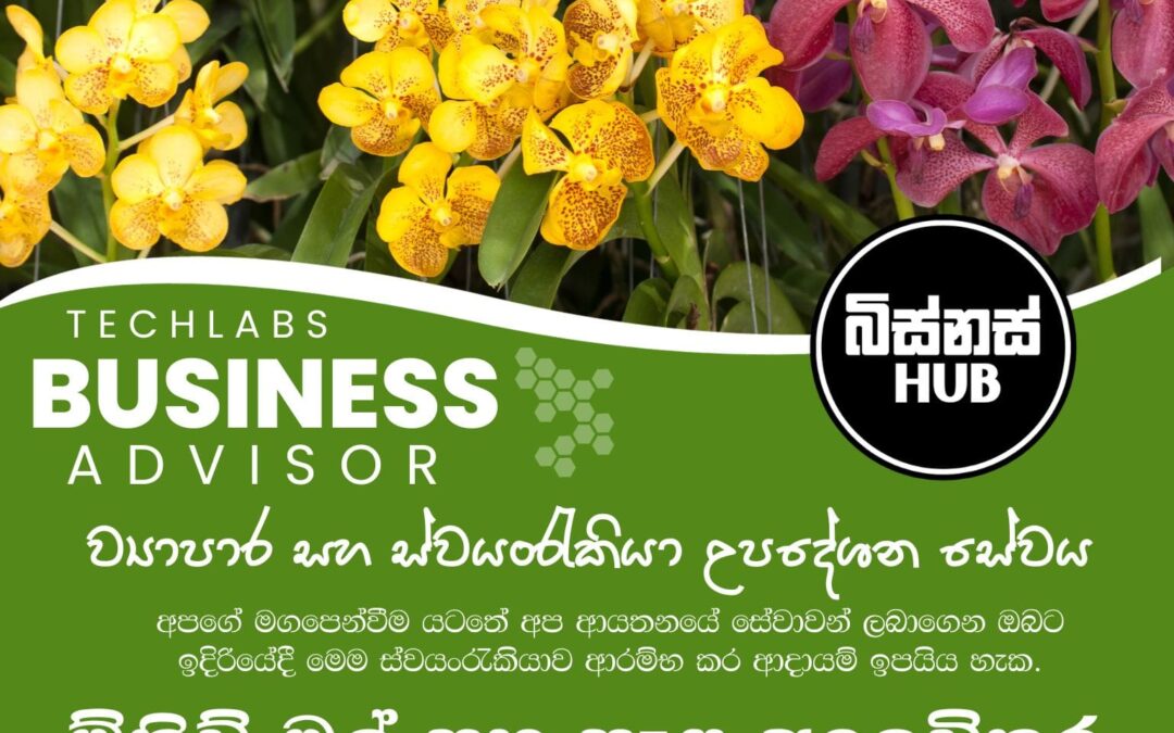 ඕකිඩ් මල් සහ පැළ අලෙවිකර ආදායම් උපයමු
