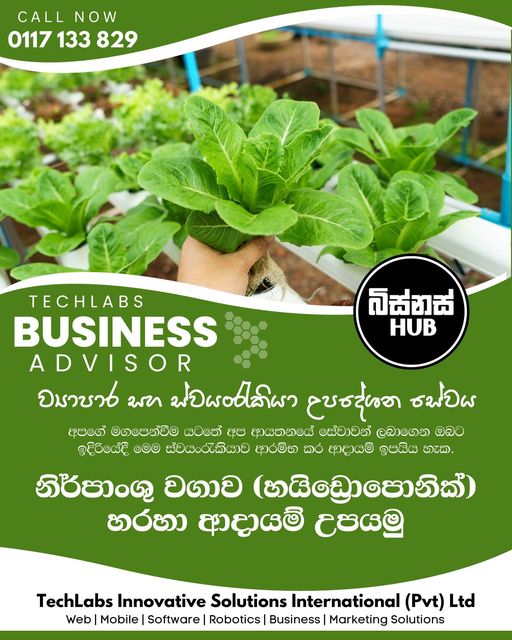 නිර්පාංශු වගාව (හයිඩ්‍රොපොනික්) හරහා ආදායම් උපයමු
