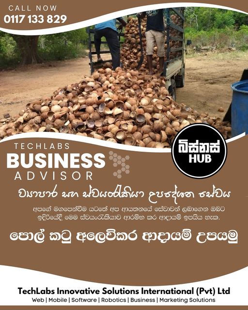 පොල්කටු අලෙවිකර ආදායම් ඉපයිම