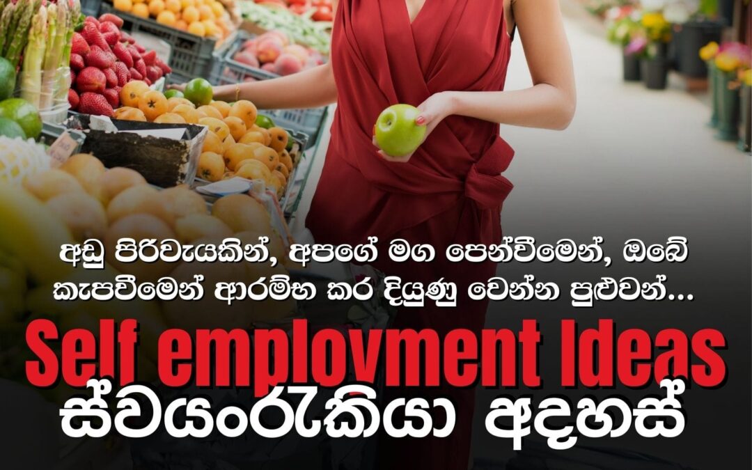 අඩු පිරිවැයකින්, අපගේ මගපෙන්වීමෙන්, ඔබේ කැපවීමෙන් ආරම්භ කර දියුණු වෙන්න පුළුවන් ස්වයංරැකියා අදහස් 100 | Self-employment Ideas