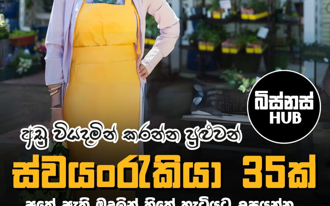 අඩු වියදමින් කරන්න පුළුවන් ස්වයංරැකියා 35ක් | අතේ ඇති මුදලින් හිතේ හැටියට උපයන්න