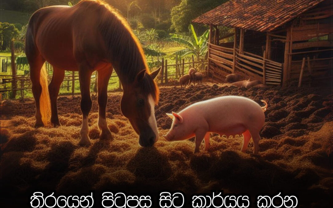 වැඩ පෙන්නන් නැතුව වැඩ කරන එකත් හැකියාවක්